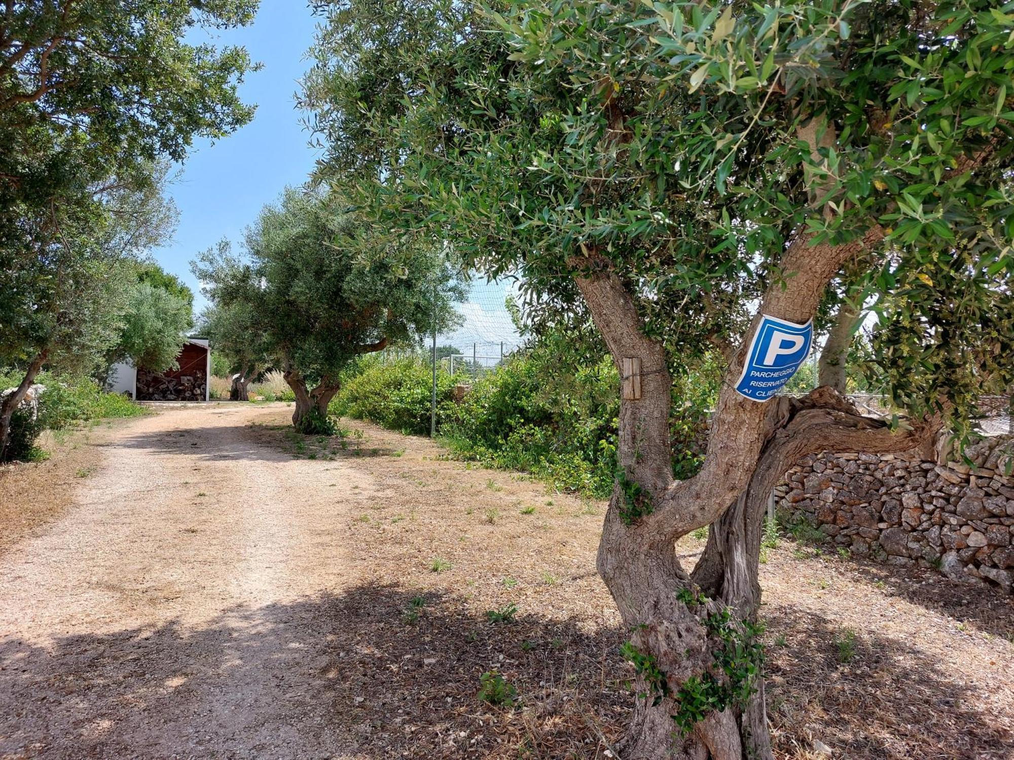 Bed and Breakfast Trulli Don Diego Noci Exteriér fotografie