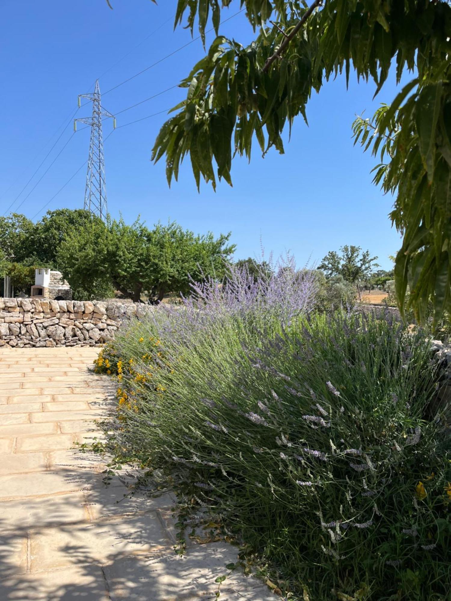 Bed and Breakfast Trulli Don Diego Noci Exteriér fotografie